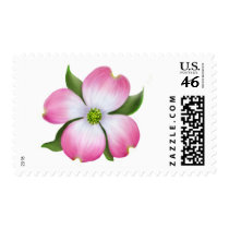 Pink Dogwood Flower Postage Stamps