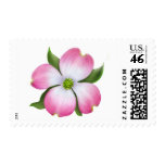 Pink Dogwood Flower postage