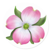 Pink Dogwood Flower stickers by CarolynMcFann Pink Dogwood Flower stickers