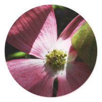 Pink Dogwood Flower stickers by Itayasdesigns Pink Dogwood Flower stickers