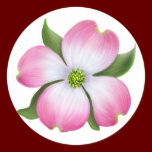 Pink Dogwood Flower Sticker stickers