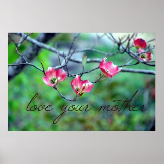 Pink Dogwood in Bloom Earth Day Poster print