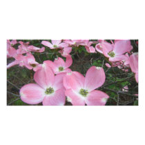 Pink Dogwood photo cards