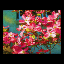 Pink Dogwood poster posters