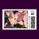 Pink Dogwood Stamps