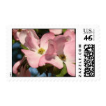 Pink Dogwood Stamps
