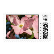 Pink Dogwood Stamps