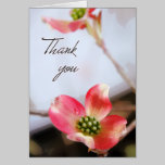Pink Dogwood Thank You Card cards