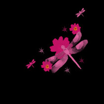 Pink Dragonfly Shirt