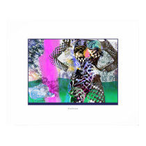 Pink Dream posters