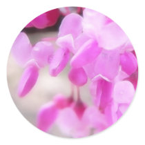 Pink Eastern Redbud Blooms Round Sticker