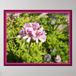 Pink Effervescent Fantasy Posters