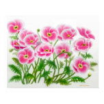 Pink European Poppies Poster posters