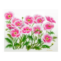 Pink European Poppies Poster posters by twopurringcats Pink European Poppies Poster posters