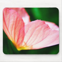 Pink Evening Primrose Mousepad