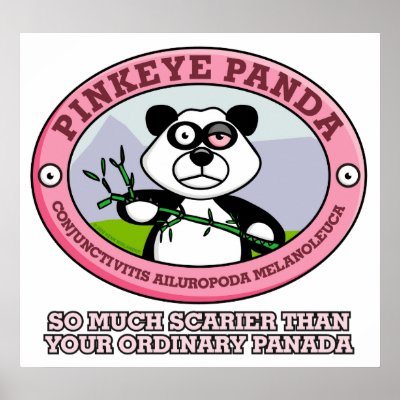 Pink Eye Panda Poster by