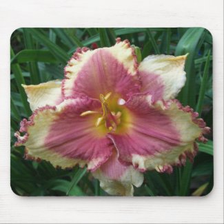 Pink Eyed Daylily Mousepad mousepad