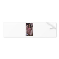 Pink fairy girl bumper stickers