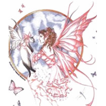 Pink Fairy t-shirts