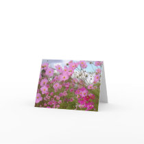 'Pink Fancy 1' Photo Notecard