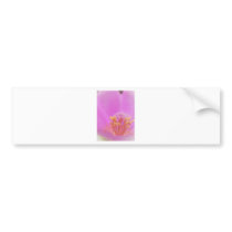 Pink Fantasy Bumper Stickers