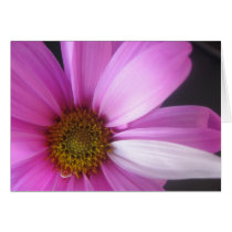 Pink Fantasy - Notecard cards