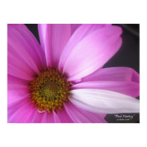 Pink Fantasy - Poster posters by lesbecker Pink Fantasy - Poster posters