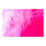 pinks, white, feather, abstract, random, high,
