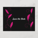 Pink Feathers Save the Date Post Cards