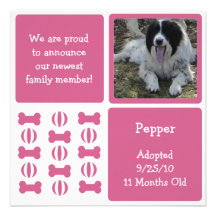 Pink Female Dog Pet Announcement Photo Cards