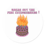 Pink Fire Extinguishers Birthday Cake Round Stickers