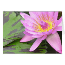 Pink Fire Water Lily Greeting Card