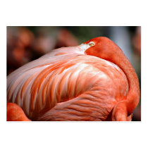 Pink Flamingo - ACEO 9 Business Card
