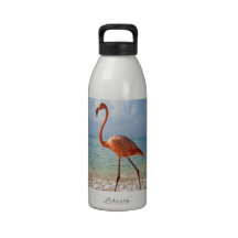 Pink Flamingo And Sandy Beach Beautiful Photo Reusable Water Bottles