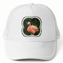 Pink Flamingo  Baseball Hat