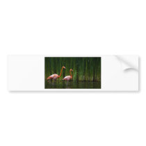 PINK FLAMINGO BUMPER STICKER
