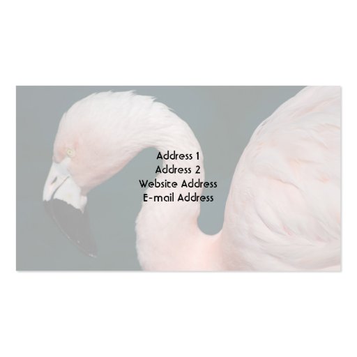 Pink Flamingo Business Card (back side)