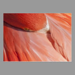 Pink Flamingo Business Card Background business cards