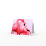 Pink Flamingo Greeting Card