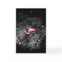 Pink Flamingo cards