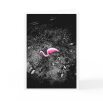 Pink Flamingo cards by davidalmeda Pink Flamingo cards
