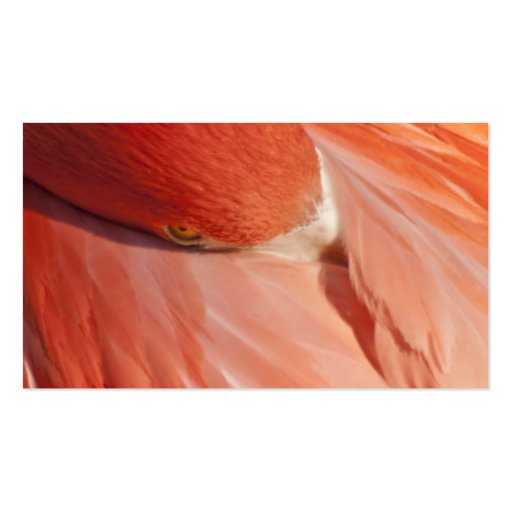 Pink Flamingo Closeup Business Card