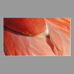 Pink Flamingo Closeup Business Card business cards