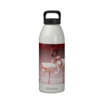 Pink Flamingo Dance Reusable Water Bottle