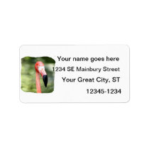 Pink flamingo head photograph green background personalized address labels