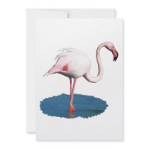 Pink Flamingo in Blue Pool of Water Personalized Announcements