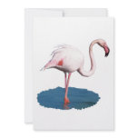 Pink Flamingo in Blue Pool of Water Personalized Announcements
