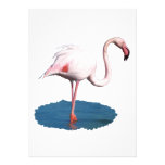 Pink Flamingo in Blue Pool of Water Personalized Announcements