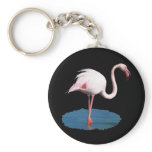 Pink Flamingo in Blue Pool of Water Key Chains