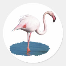 Pink Flamingo in Blue Pool of Water Sticker